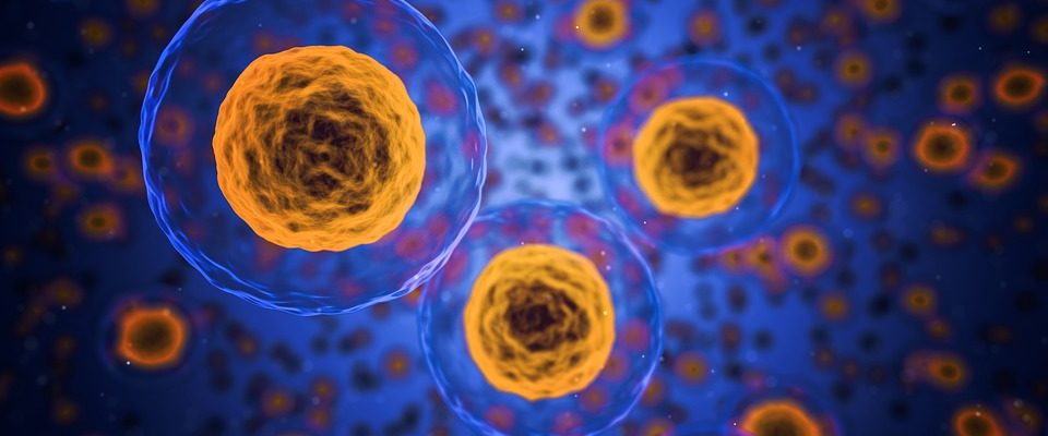 Precision Medicine Needs Global Genetic Data