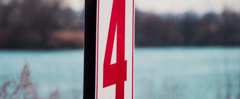Four Companies to Know in Hungary