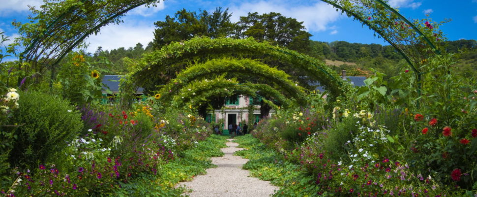 Tending the Garden of RWD via Project EHDEN: 21st Century Tools for 21st Century Health Research