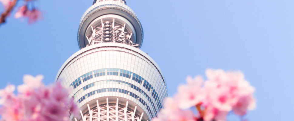 Life Science VC Funding in Japan: Signs of Growth & Untapped Opportunities