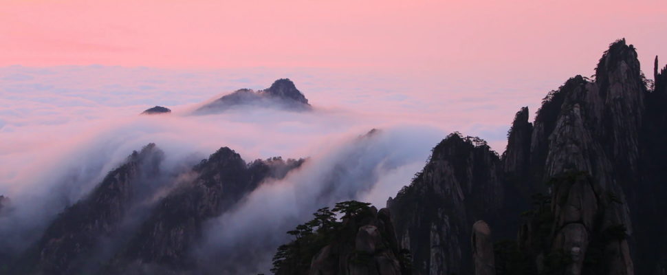 CDE’s China Drug Evaluation Report 2020: Part 1