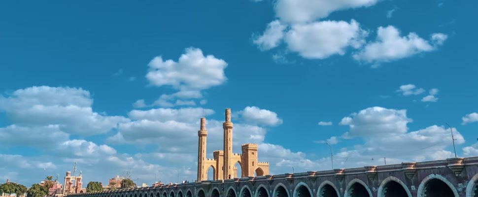 Pfizer’s Pneumococcal Vaccine Tech Transfer MoU in Egypt: What Impact?