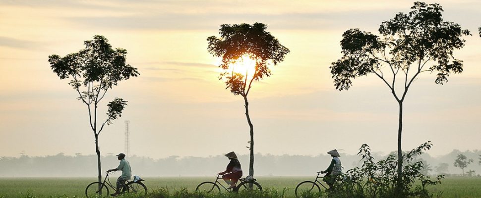 Southeast Asia: More Indonesian License Suspensions; Kalbe’s Aventis Share Purchase; Boston Scientific’s Malaysia Expansion